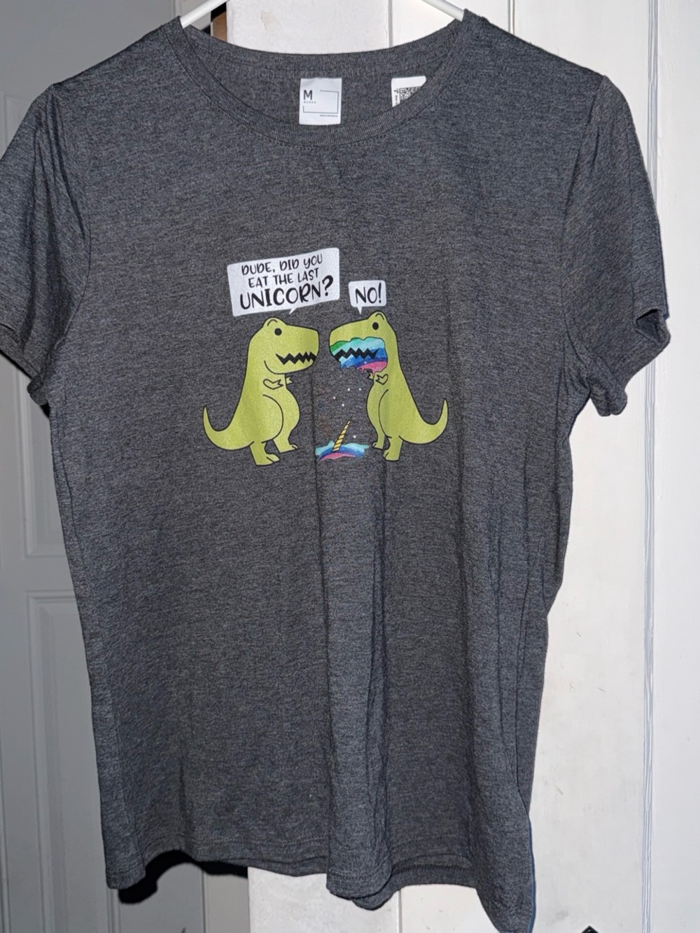 Gildan Dark Gray Short Sleeve Tee with Lime Dinosaur Graphic and Rainbow Accent